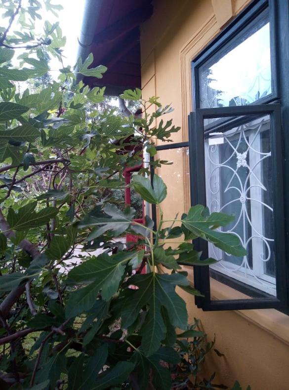 Villa Kundalini Balatonalmádi Dış mekan fotoğraf